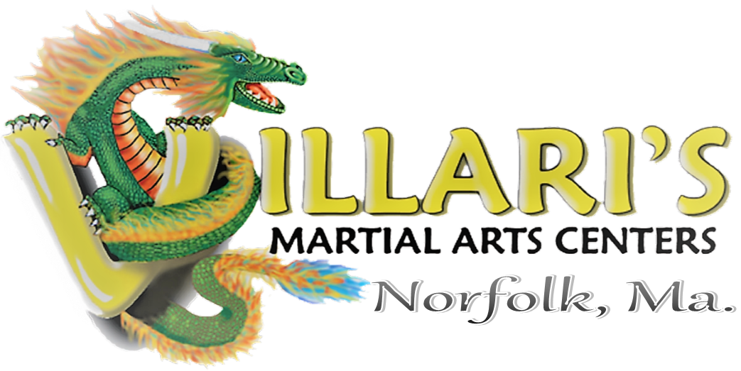 Villari's Martial Arts Center photo